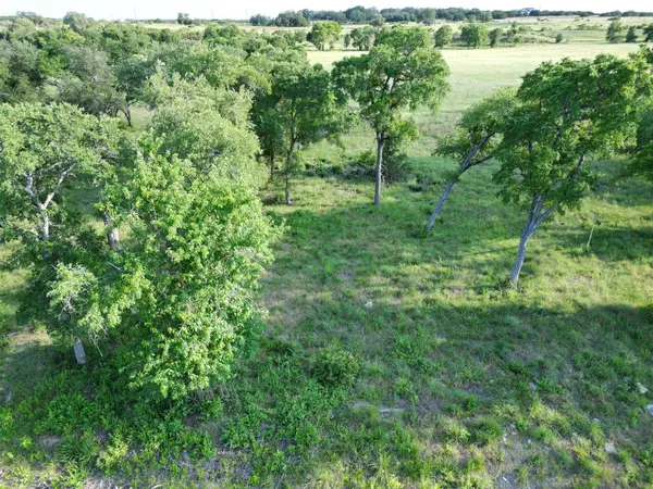 Lot 23 Serenity DR, Bertram, TX 78605
