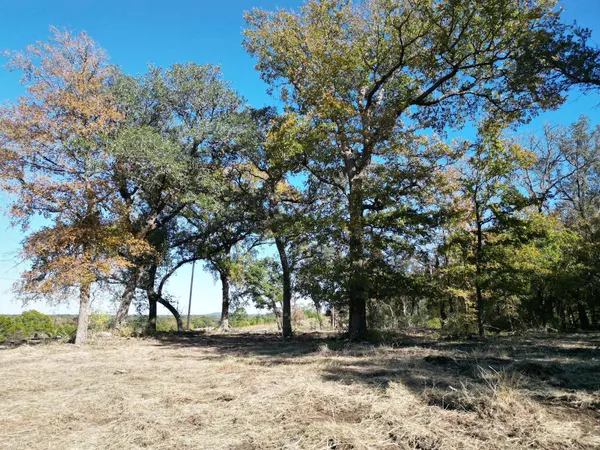 205 Serenity DR, Liberty Hill, TX 78642