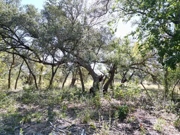 205 Serenity DR, Liberty Hill, TX 78642