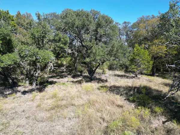 205 Serenity DR, Liberty Hill, TX 78642
