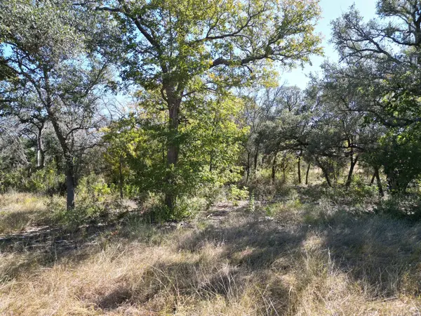 205 Serenity DR, Liberty Hill, TX 78642
