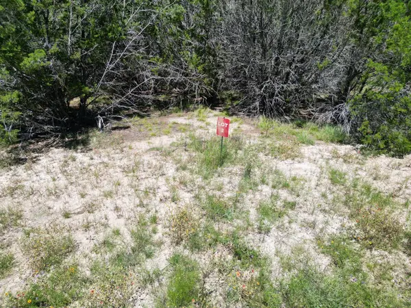 Tract 2 US HWY 190 W, Lometa, TX 78653
