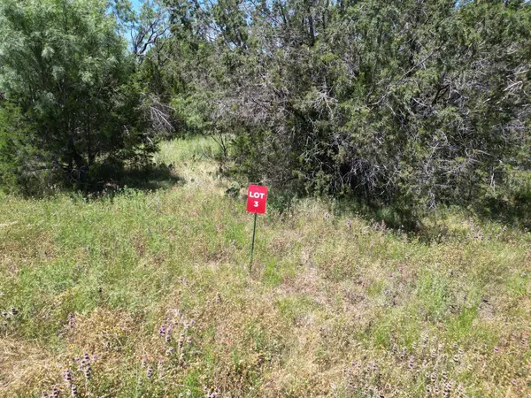 Tract 3 US HWY 190 W, Lometa, TX 78653