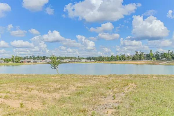 6138 Hazel Lake Dr, Conroe, TX 77303