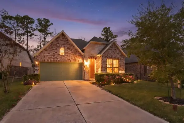 135 Winged Elm CT, Willis, TX 77318