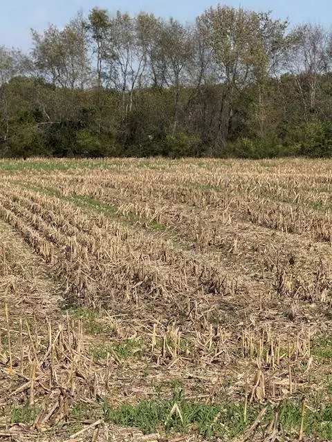 562 N Harris RD, Portland, TN 37148