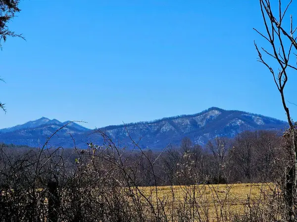 1 Lot 1 Turkey Mountain Rd, Amherst, VA 24521