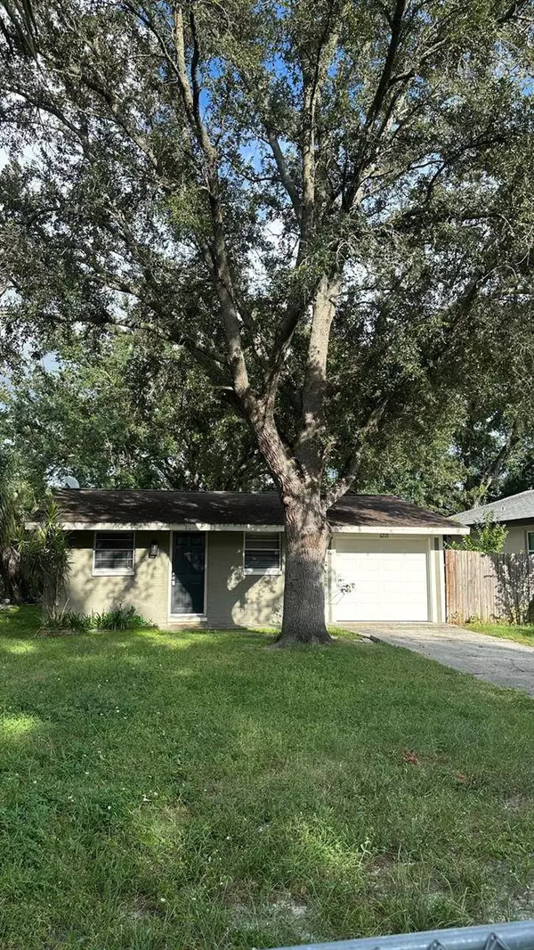 6715 RIVER RD, Tampa, FL 33615