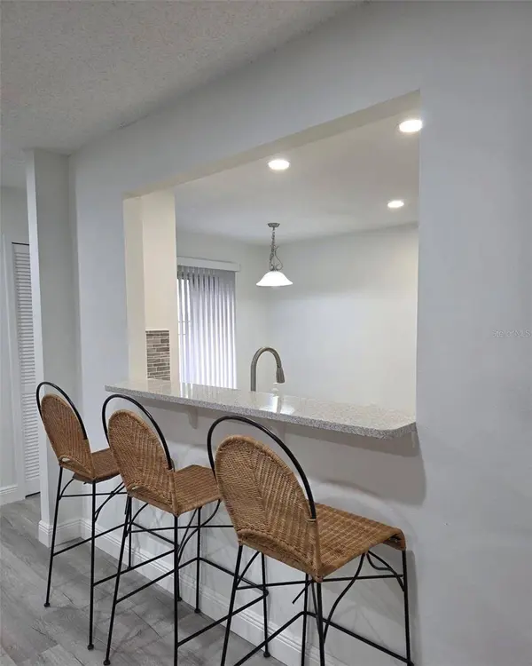 4402 RING NECK RD #19B, Orlando, FL 32808