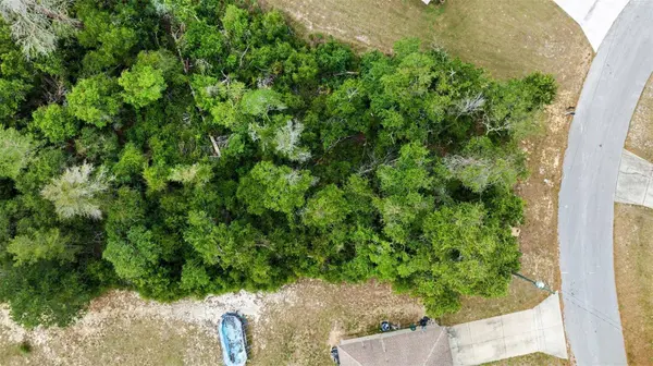 00000 SW 23RD AVENUE RD, Ocala, FL 34473