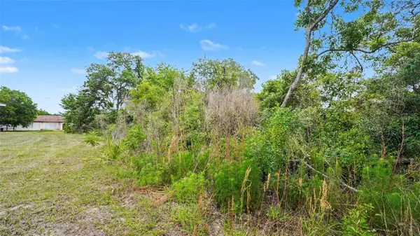 00000 SW 23RD AVENUE RD, Ocala, FL 34473
