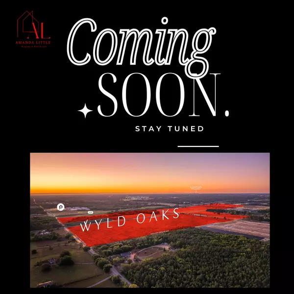 Discover Wyld Oaks: Apopka’s Exciting New Development with Homes, Shopping, and More,Amanda Little