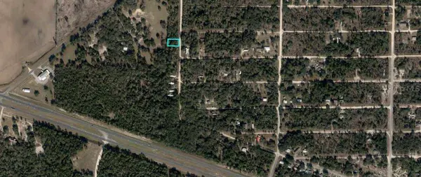 NE 110TH CT, Williston, FL 32696