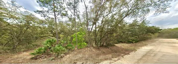 109 DOTTIE ST, Interlachen, FL 32148