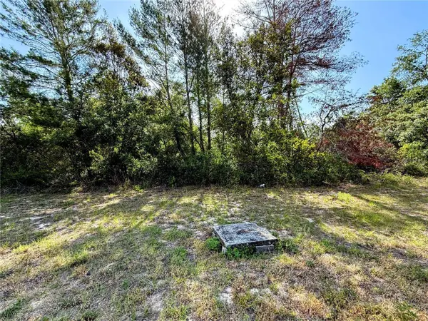 SW 50TH TERRACE RD, Ocala, FL 34473