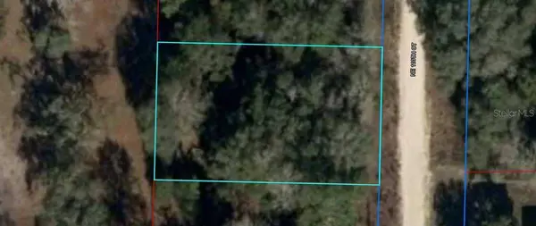 NE 110TH CT, Williston, FL 32696