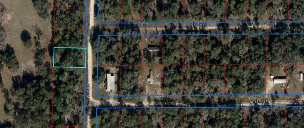 NE 110TH CT, Williston, FL 32696