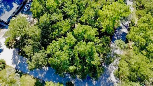 2790 NE 49TH AVE, Ocala, FL 34470