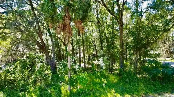 2790 NE 49TH AVE, Ocala, FL 34470