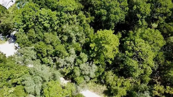 0 NE 138TH TER, Williston, FL 32696