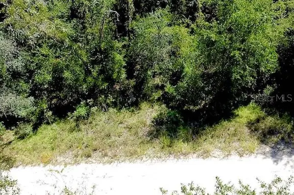 0 NE 138TH TER, Williston, FL 32696