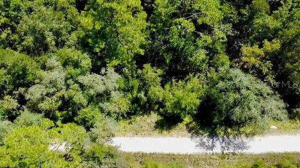0 NE 138TH TER, Williston, FL 32696