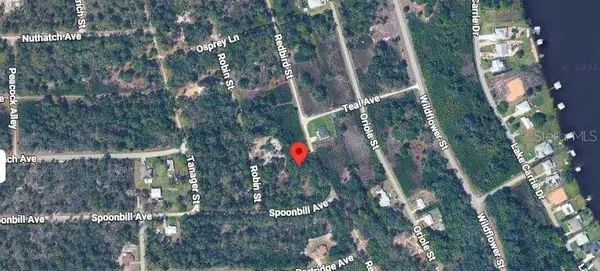 1030 REDBIRD ST, Lake Placid, FL 33852