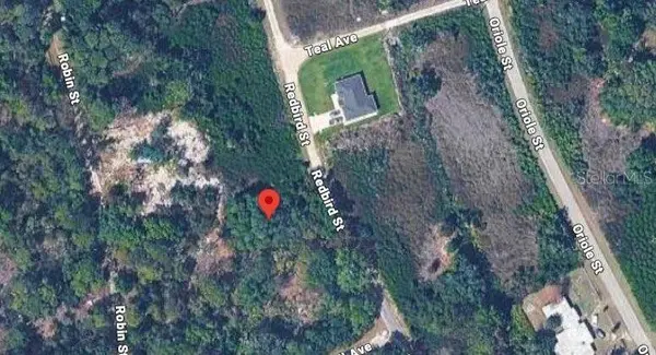 1030 REDBIRD ST, Lake Placid, FL 33852
