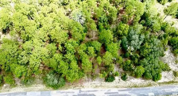 3861 W FIREWOOD LOOP, Citrus Springs, FL 34433