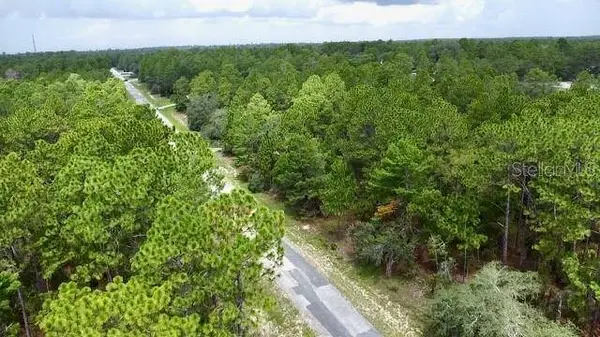 3861 W FIREWOOD LOOP, Citrus Springs, FL 34433