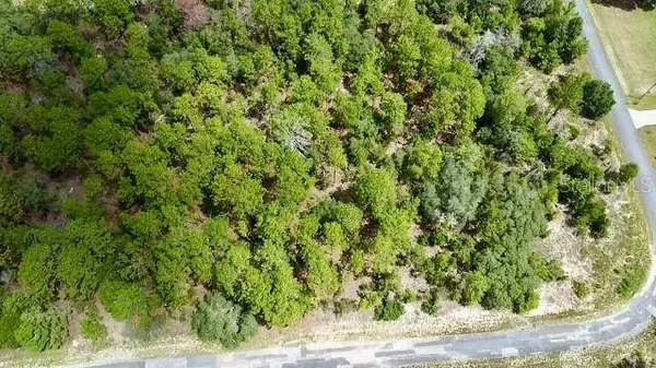 3861 W FIREWOOD LOOP, Citrus Springs, FL 34433