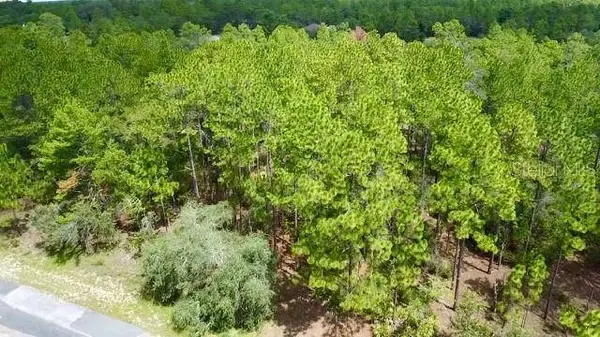 3861 W FIREWOOD LOOP, Citrus Springs, FL 34433