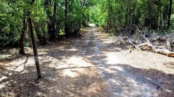 6981 HOLLY ST, Mount Dora, FL 32757