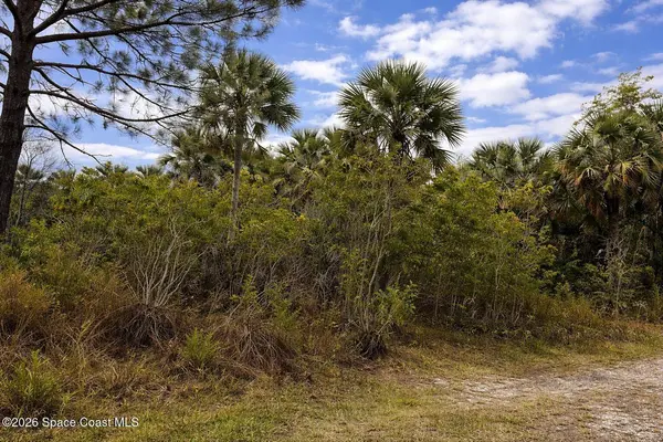 2041 Day AVE SW, Palm Bay, FL 32908