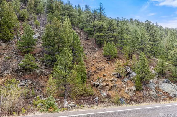 0 Hwy 119, Black Hawk, CO 80422