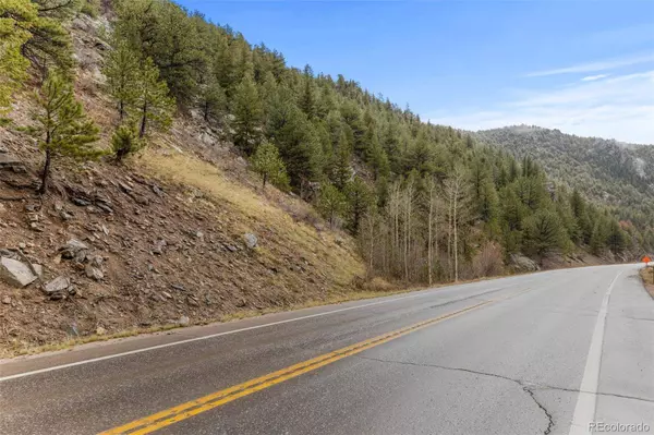 0 Hwy 119, Black Hawk, CO 80422