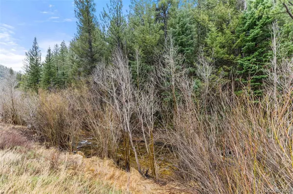 0 Hwy 119, Black Hawk, CO 80422