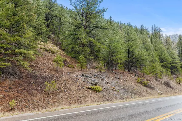 0 Hwy 119, Black Hawk, CO 80422