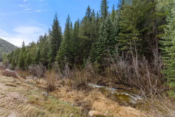 0 Hwy 119, Black Hawk, CO 80422