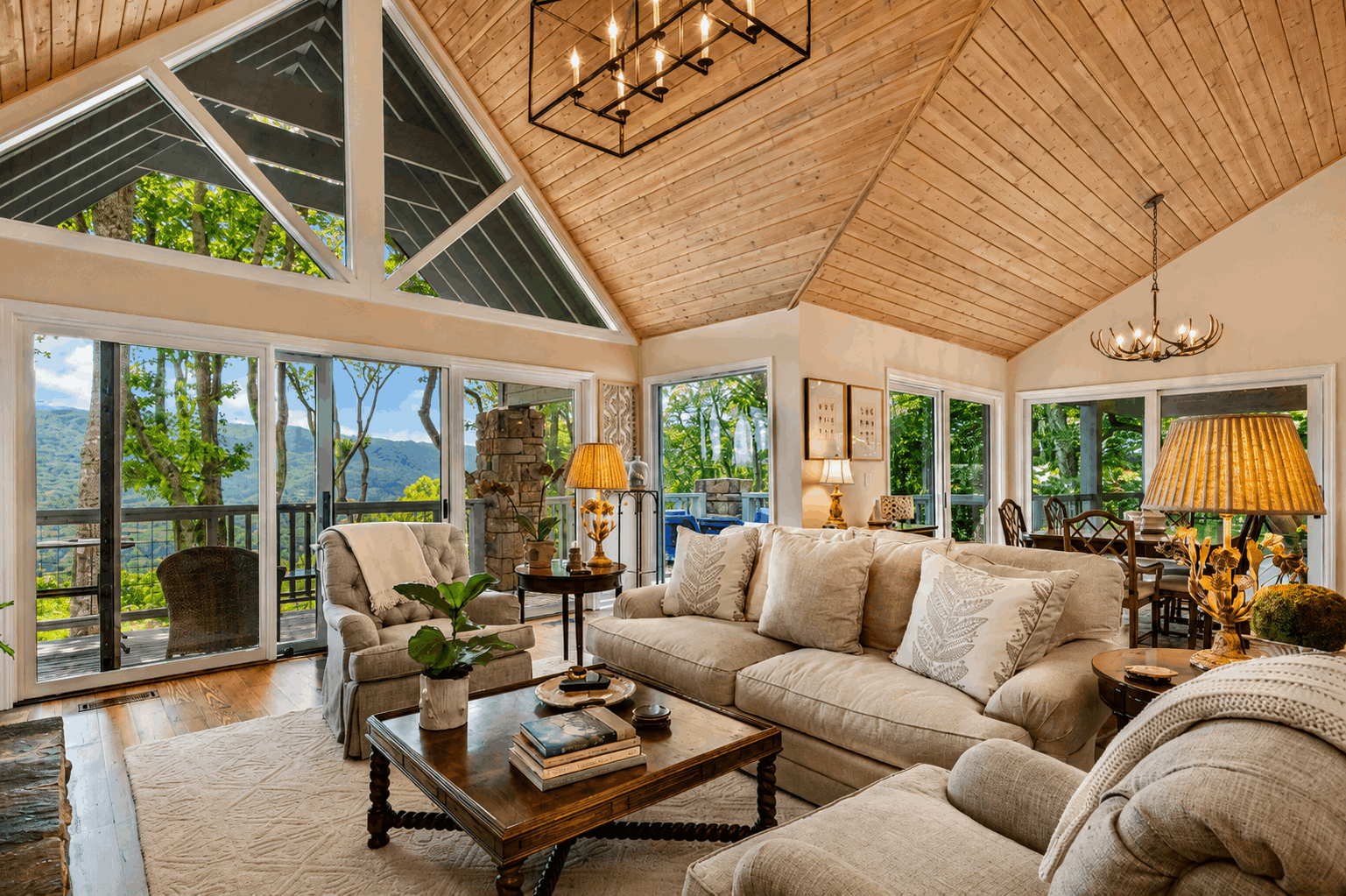 Living room with mountain view
