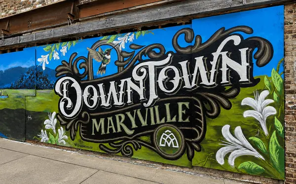 Hidden Gems in Maryville, TN: Local Favorites Worth Discovering