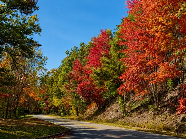 Fall in the Smoky Mountains