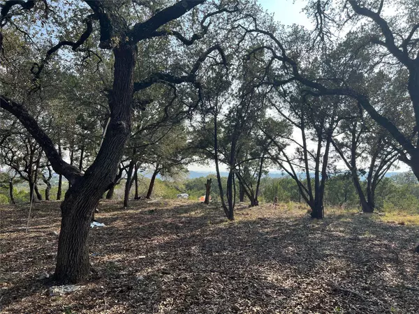 21002 Niagara CV, Lago Vista, TX 78645