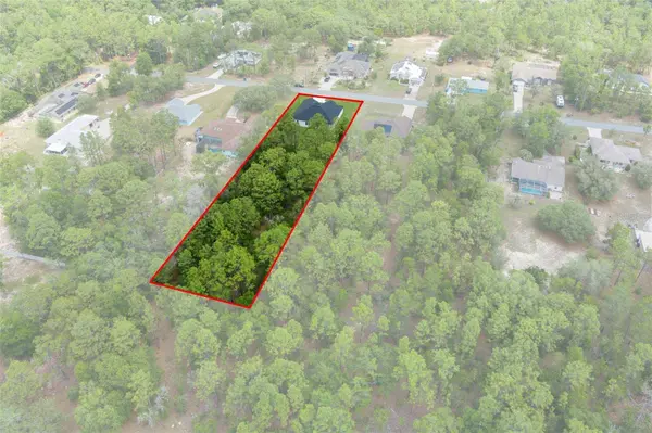 1538 E MCKINLEY ST, Hernando, FL 34442