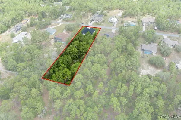 1538 E McKinley ST, Hernando, FL 34442