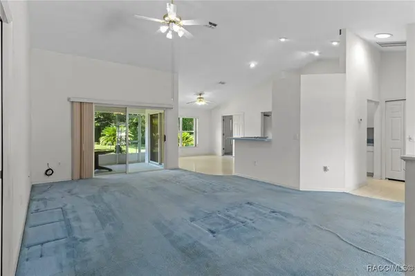 3150 N Chandler DR, Hernando, FL 34442