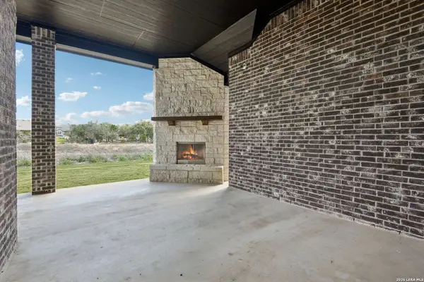 1138 Cape May Warbler, New Braunfels, TX 78132