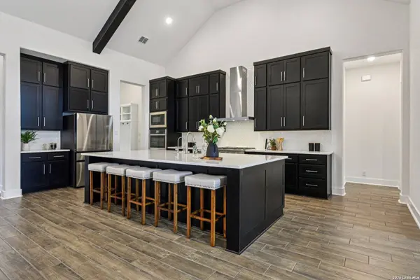 1138 Cape May Warbler, New Braunfels, TX 78132