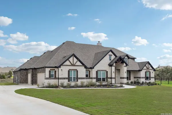 1138 Cape May Warbler, New Braunfels, TX 78132
