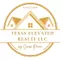 Texaas realty LOGO 